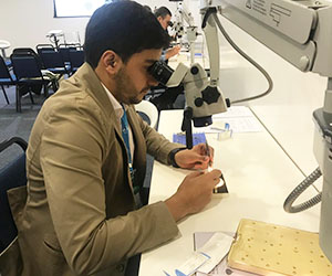 Aperfeiçoamento em Microcirurgia